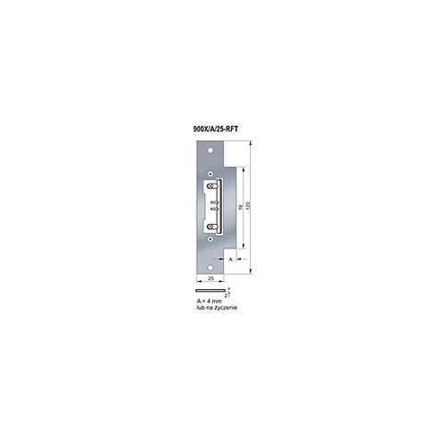 ZACZEP PŁASKI UNIWERSALNY 120x25 mm Z PŁETWĄ RFT ( 900X/4/25-RFT)